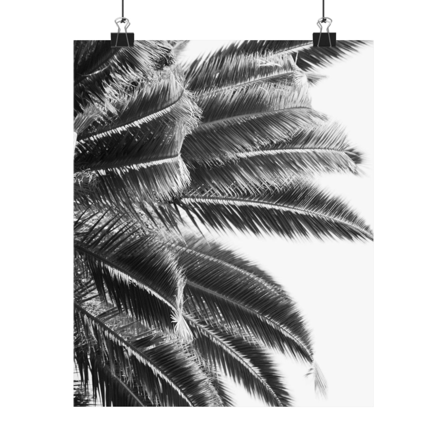 Keep Cool : Black & White