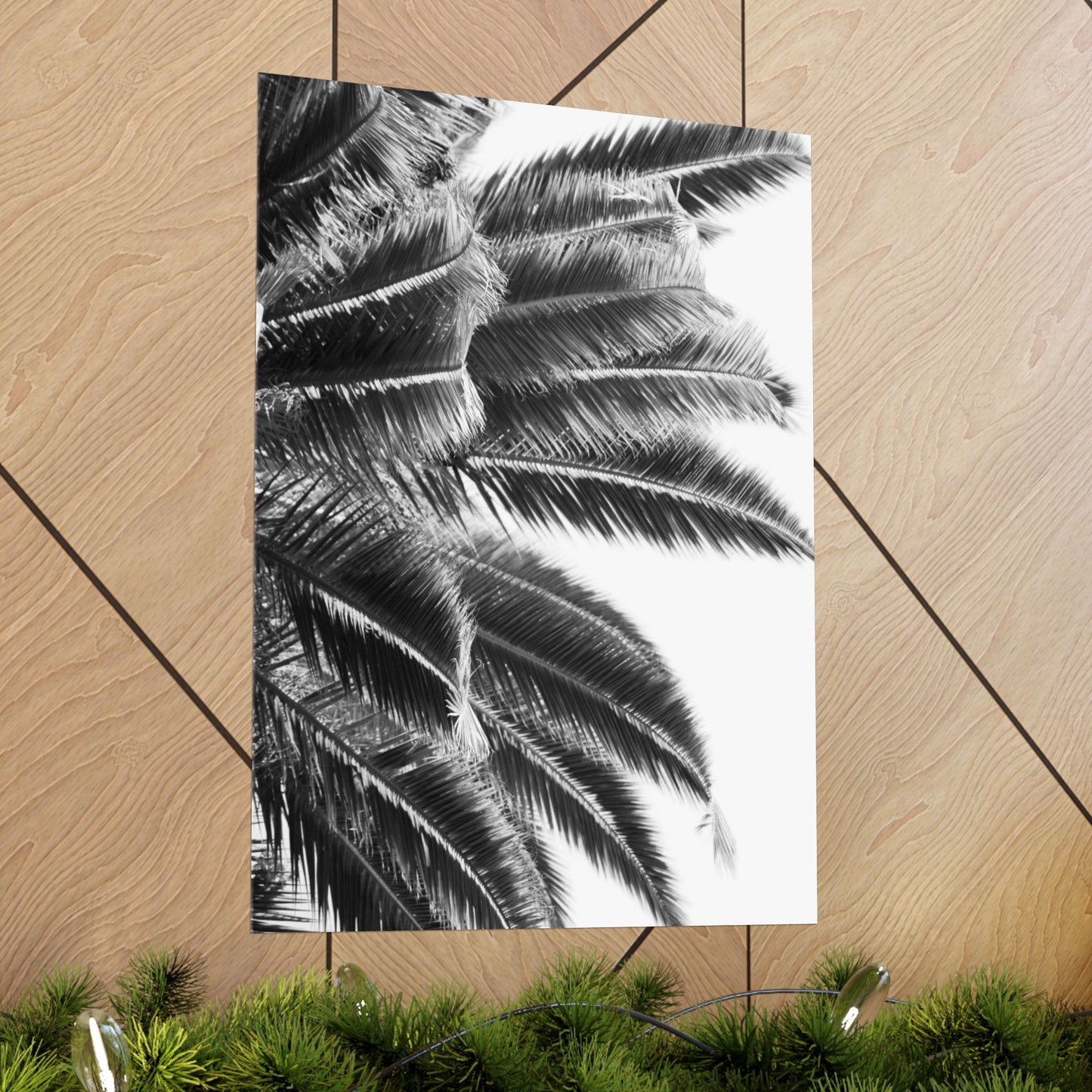 Keep Cool : Black & White