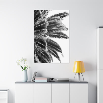 Keep Cool : Black & White