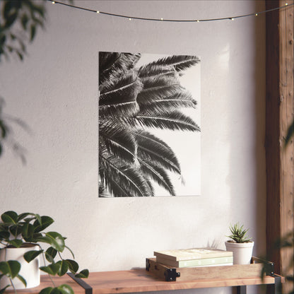 Keep Cool : Black & White