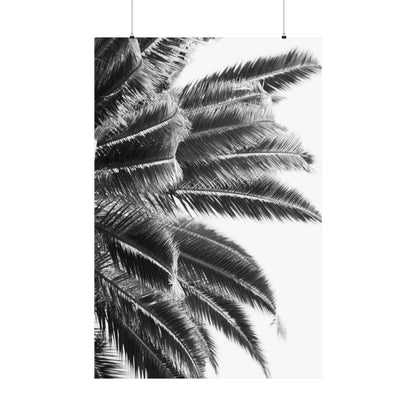 Keep Cool : Black & White