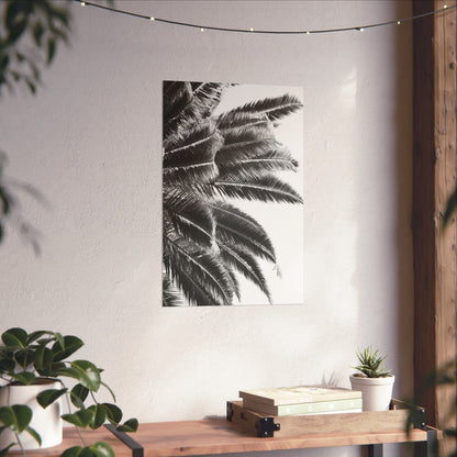 Keep Cool : Black & White