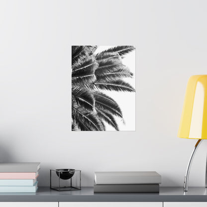Keep Cool : Black & White