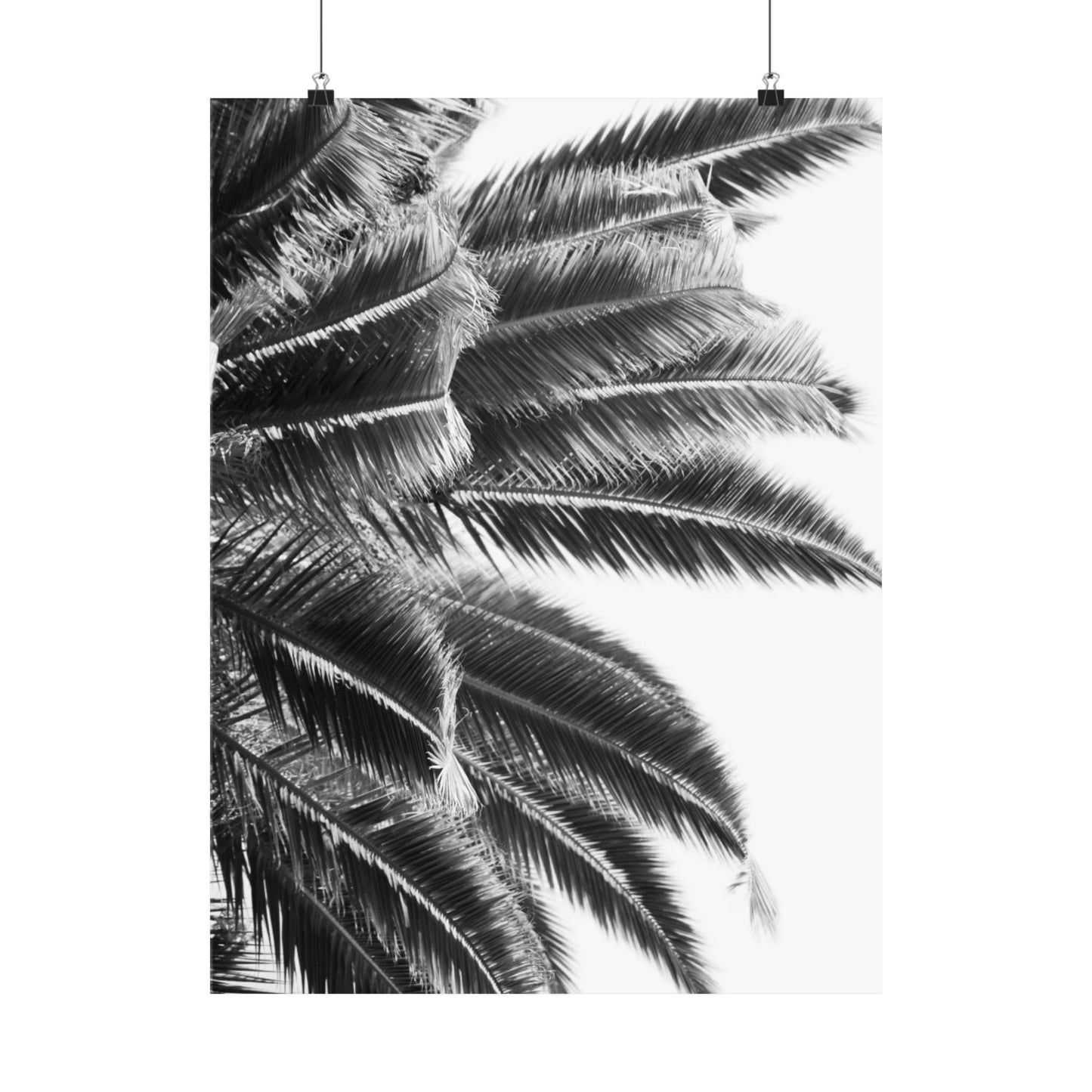 Keep Cool : Black & White